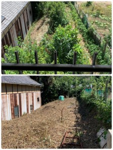 三豊市詫間、一戸建て整理、買取、草刈、解体