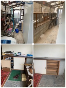 image1_2.jpeg