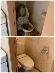 image4.jpeg