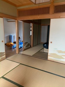 image4.jpeg