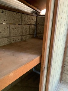 image5.jpeg