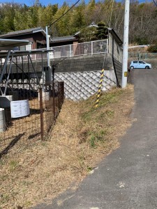 image2_2.jpeg