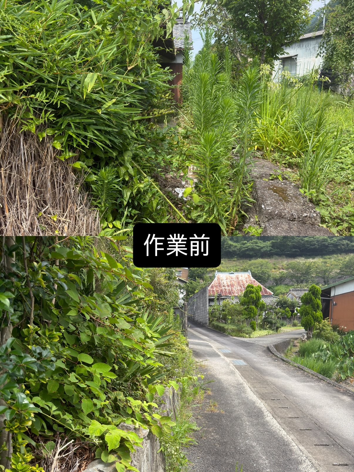 【徳島県三好市｜空き家の草刈り作業】