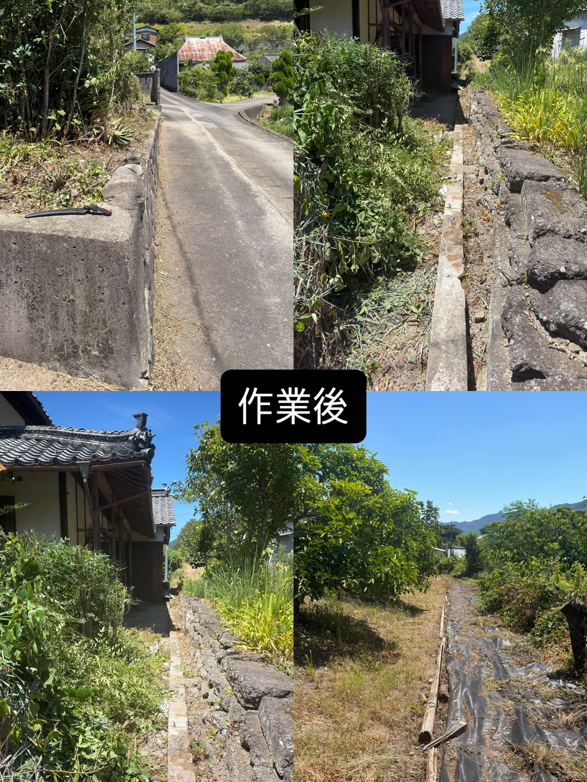 【徳島県三好市｜空き家の草刈り作業】