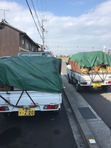 image6.jpeg