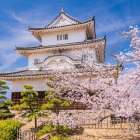 丸亀市